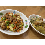 ゴロゴロサラダ 鶏のさつま煮
