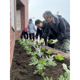 植栽の様子2
