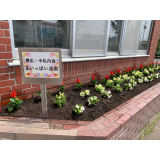 2023花いっぱい運動