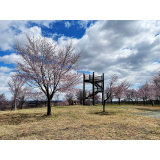 桜六花公園