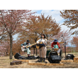 桜のある休日
