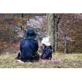 桜のある休日