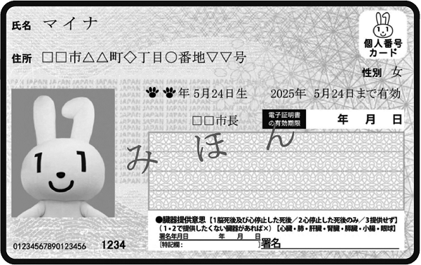 普及に加速がつき始めたマイナンバーカード