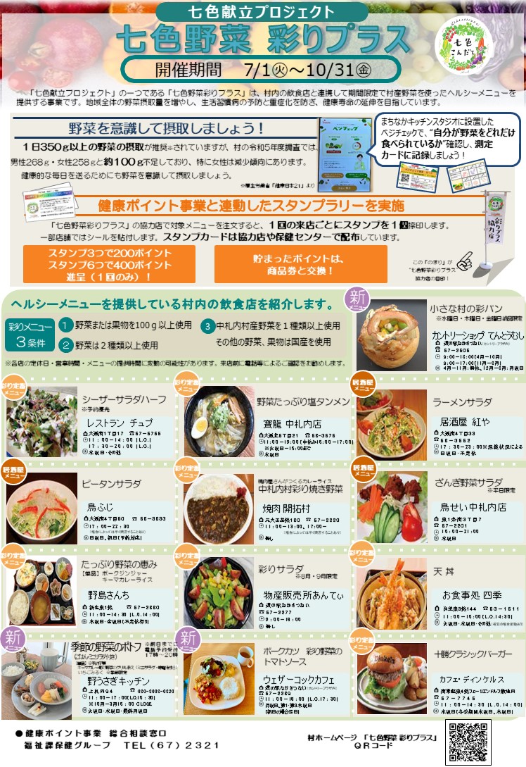 彩りプラスチラシ2025A4画像