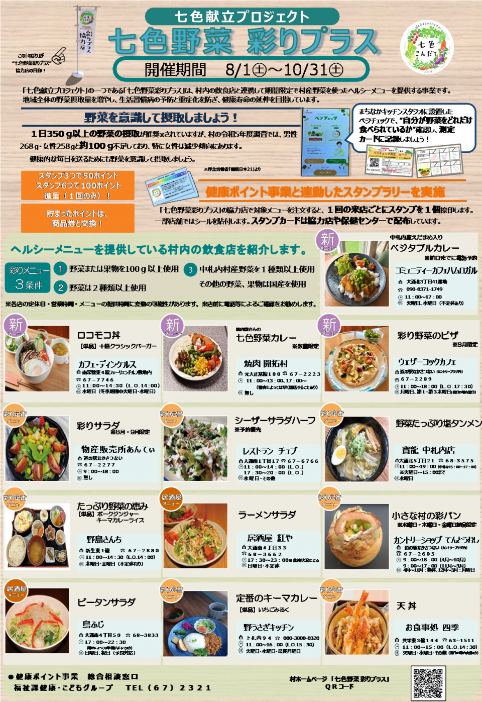 彩りプラスチラシ2026A4画像