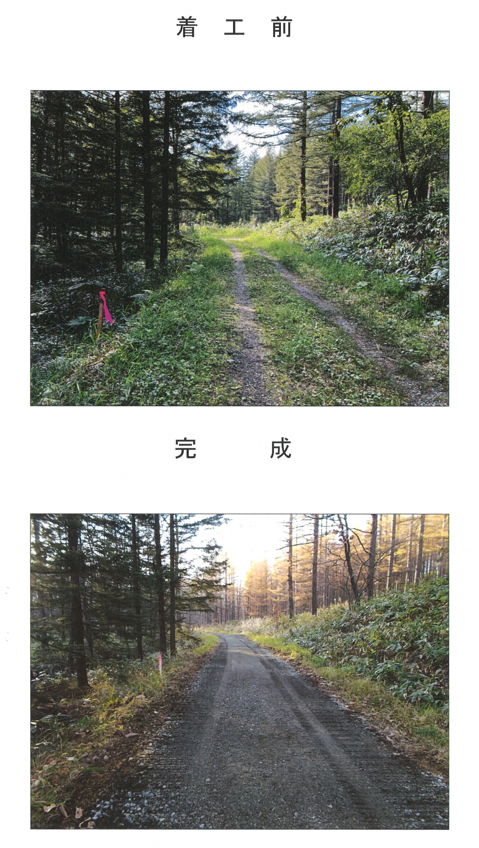 元更別林道